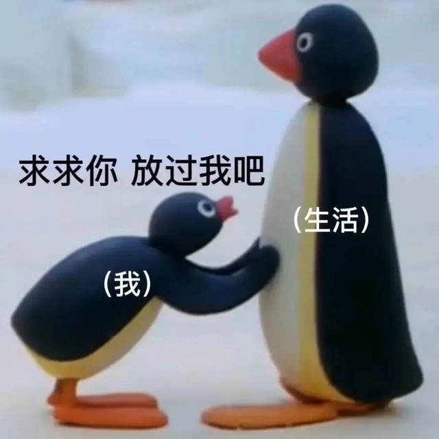 Joanna Jacus Amorius