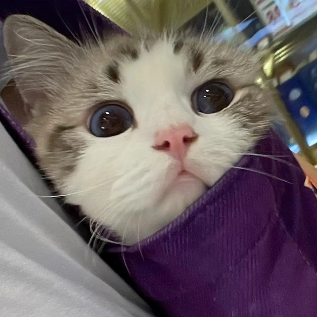 骆美姗