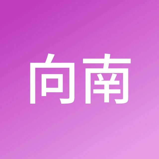 向南